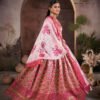 Premium Narayan Pattu Pink Floral Lehenga Choli with Zari Border & Printed Dupatta