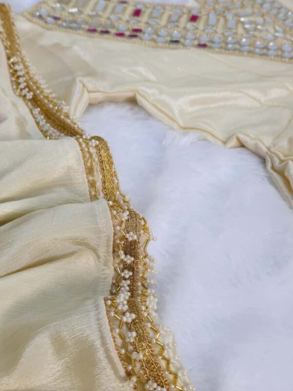 Soft Chinon Anarkali with Real Mirror Work Neck | Festive Wear